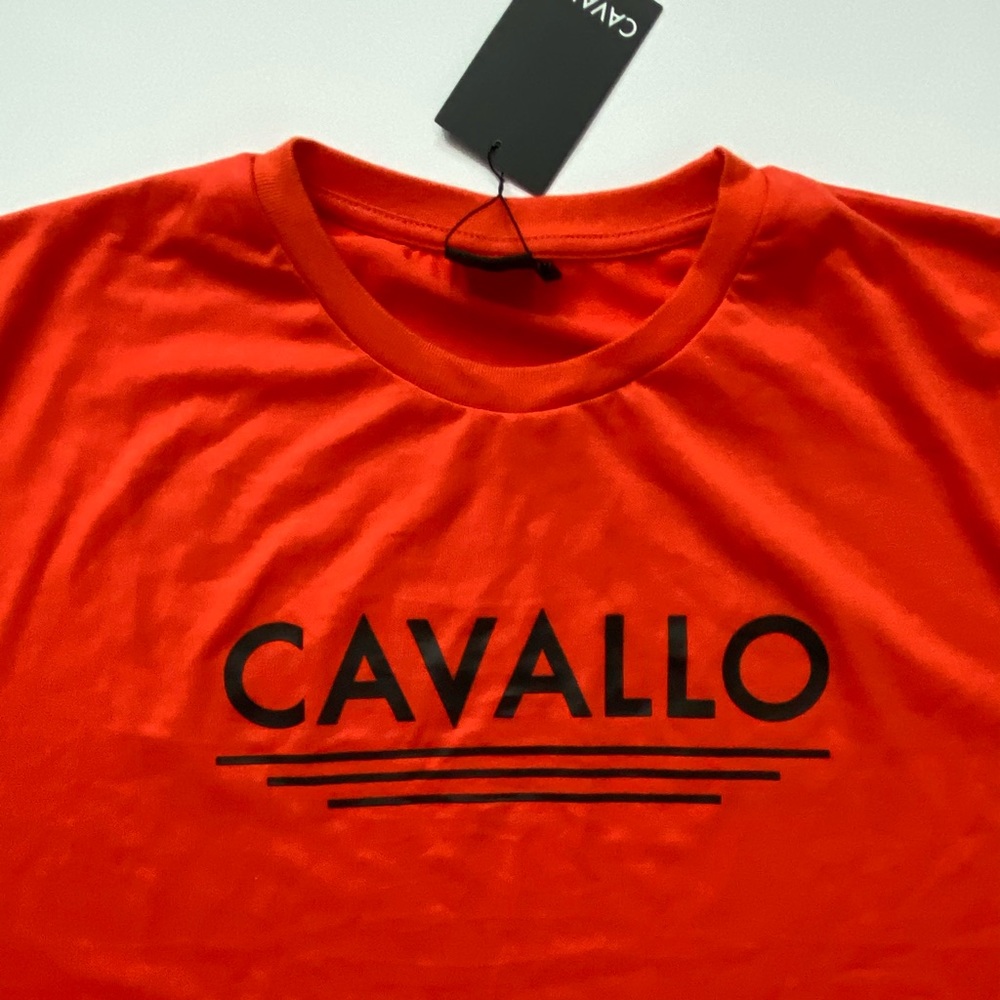 Cavallo classic men’s short sleeve t-shirt;size XL
